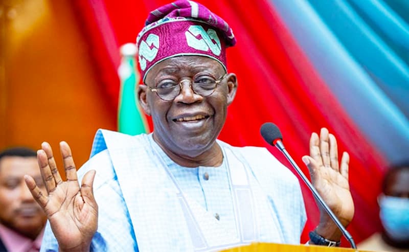 I Didn’t Come to Look for Money, I Came to Work -- Tinubu