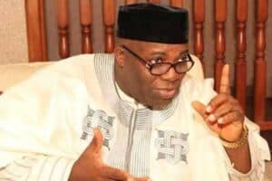 2023 election: Presidency not stolen, LP couldn’t have done better — Okupe