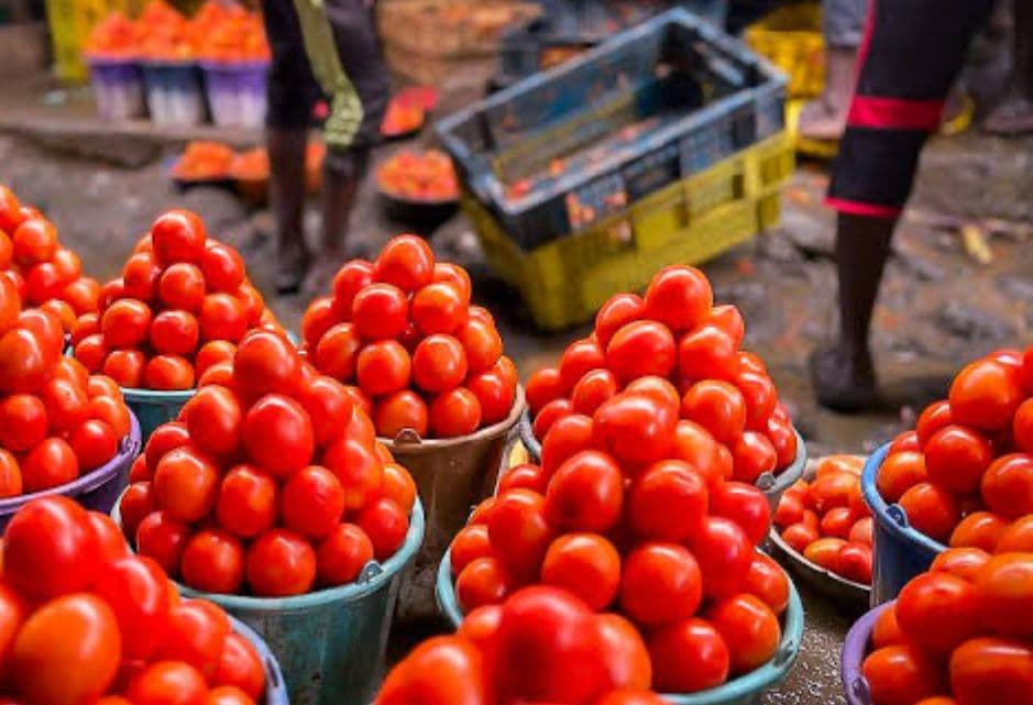 NIGERIA LOSES N1.3BN TO TOMATO E-BOLA IN THREE STATES.