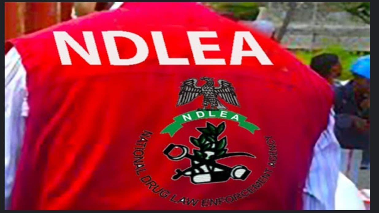 NDLEA UNCOVERS AK-47 RIFLE, SEIZES 5,350 PILLS OF TRAMADOL IN TARABA.