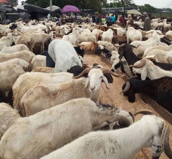 Livestock market